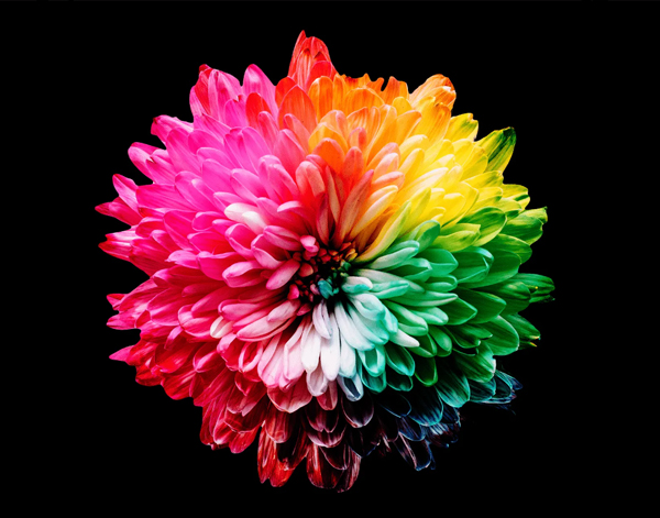 AMOLED